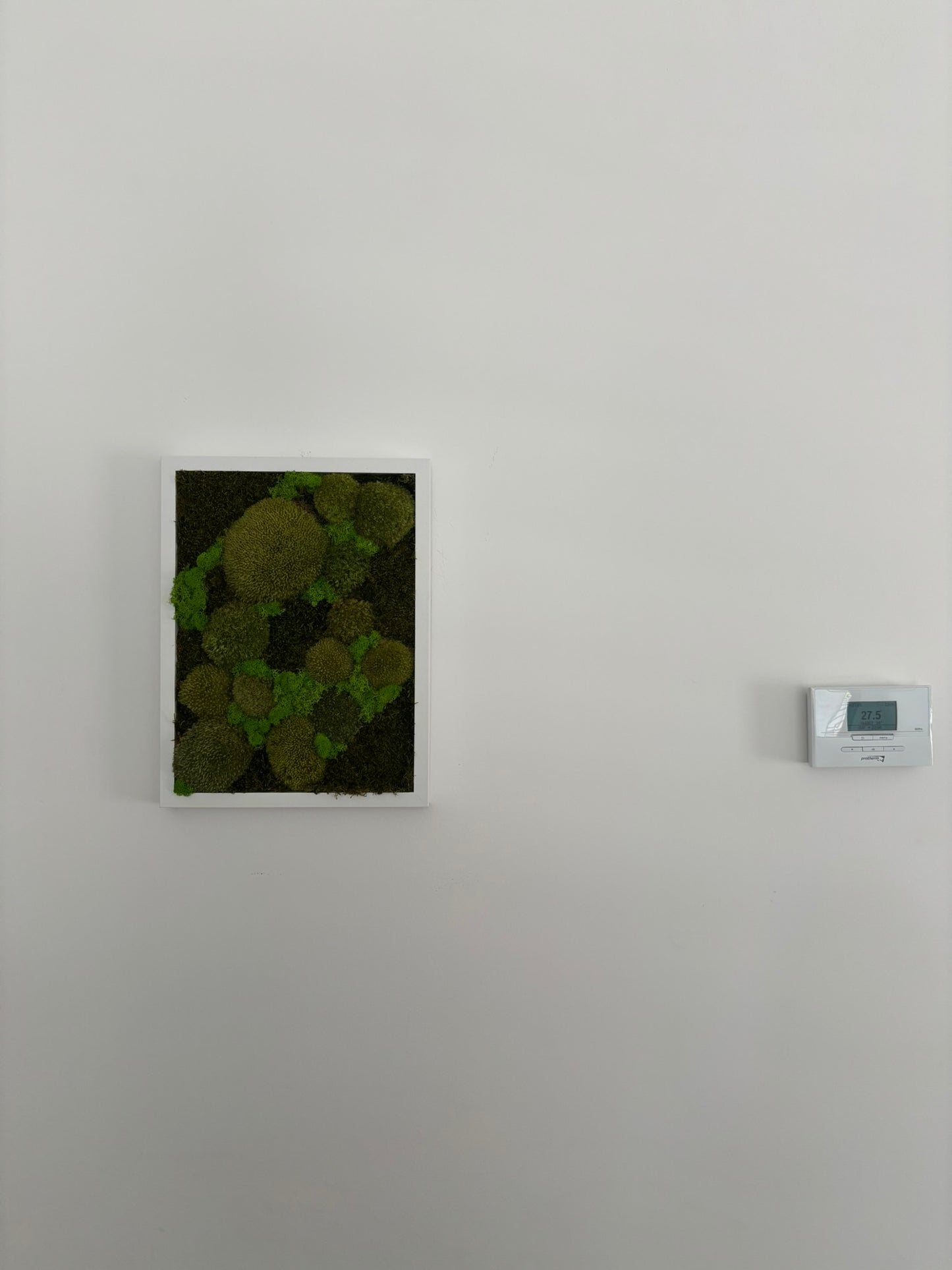 Mechový obraz 32x42cm (bílý)