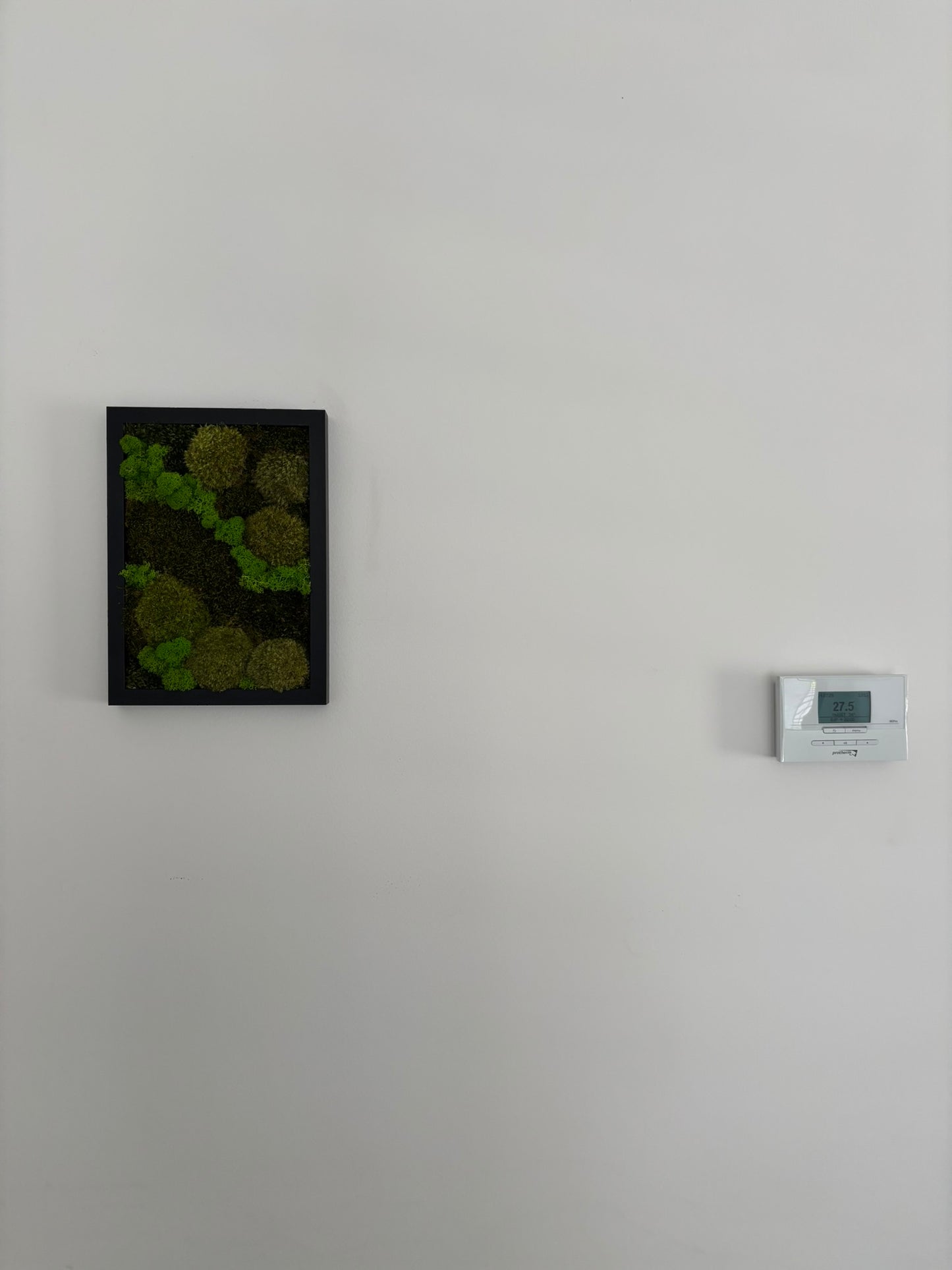 Mechový obraz 24x32cm (černý)