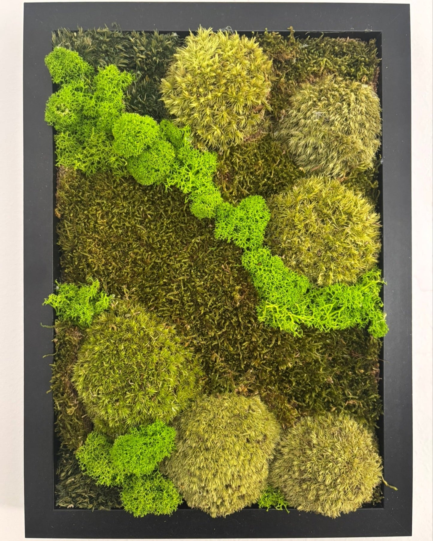 Mechový obraz 24x32cm (černý)