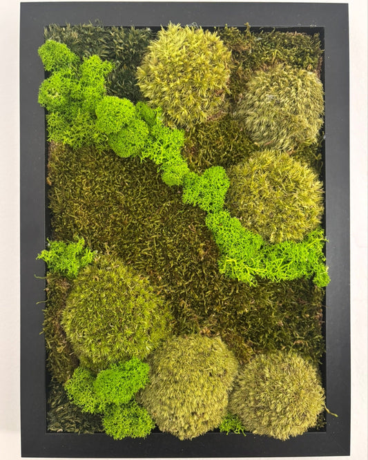 Mechový obraz 24x32cm (černý)