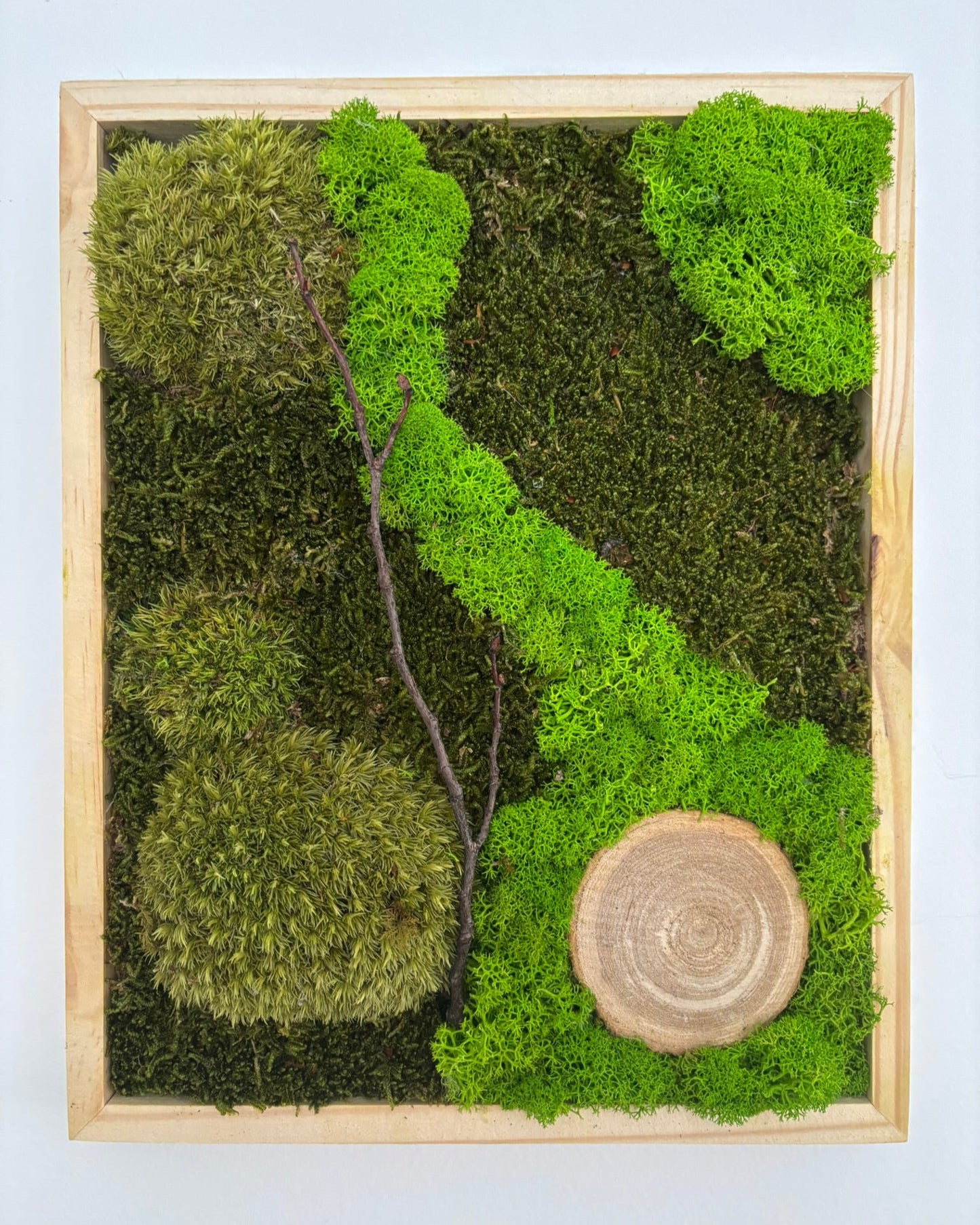 Mechový obraz 24x30cm (dřevo)