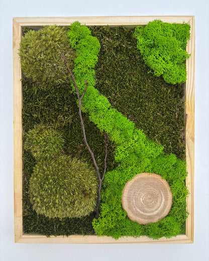 Mechový obraz 24x30cm (dřevo)