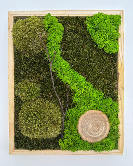 Mechový obraz 24x30cm (dřevo)