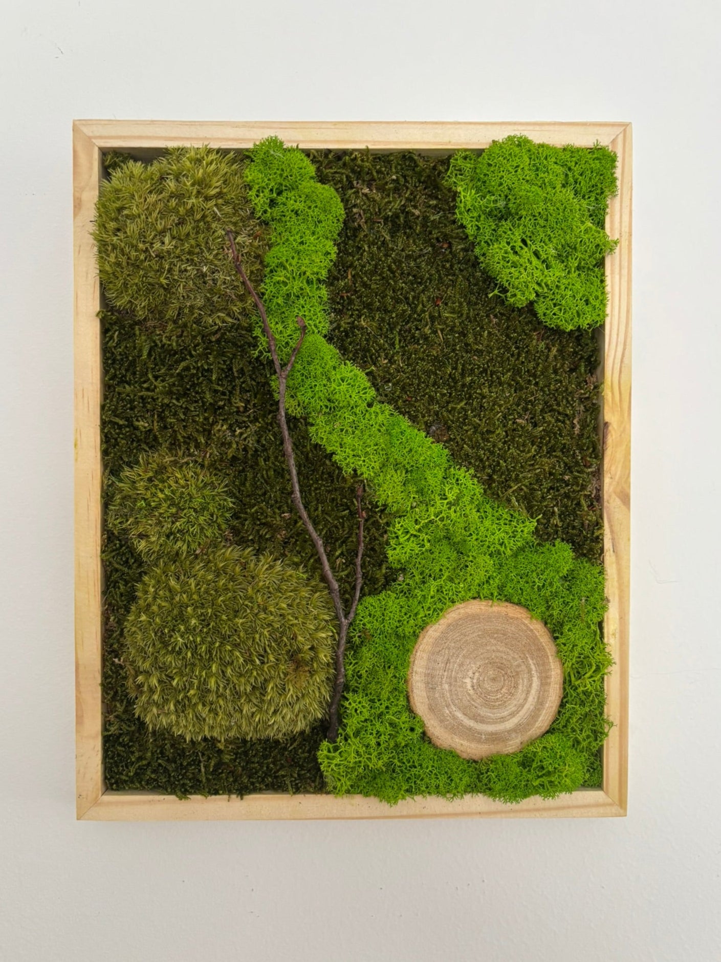 Mechový obraz 24x30cm (dřevo)