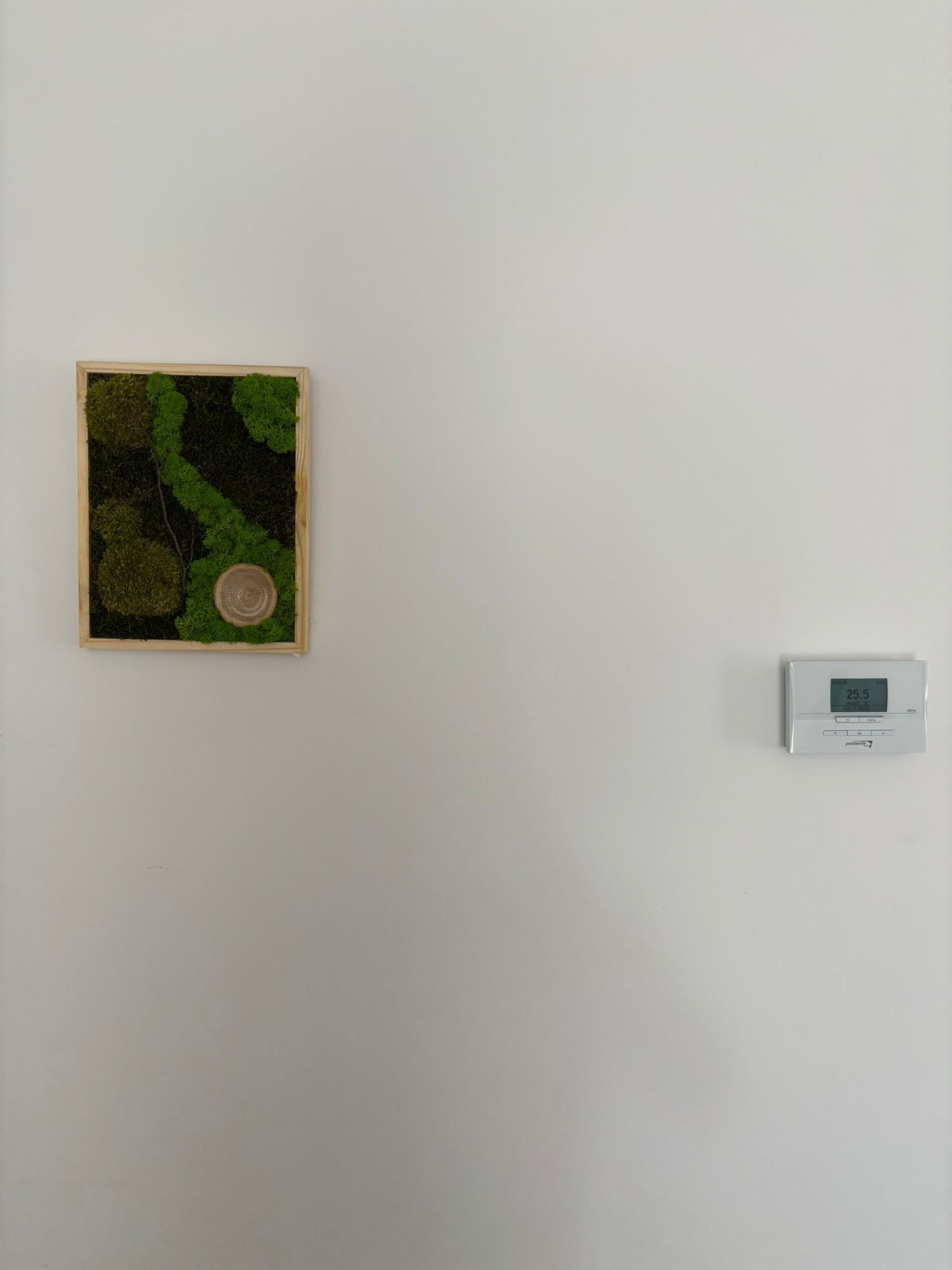 Mechový obraz 24x30cm (dřevo)