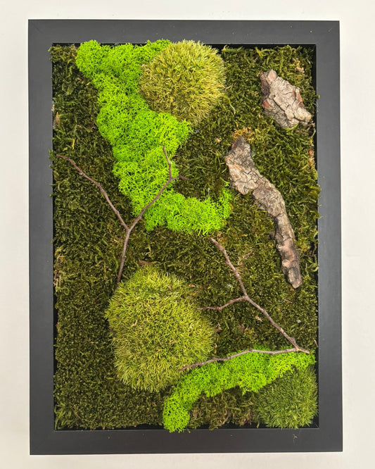 Mechový obraz 24x32cm (černý)