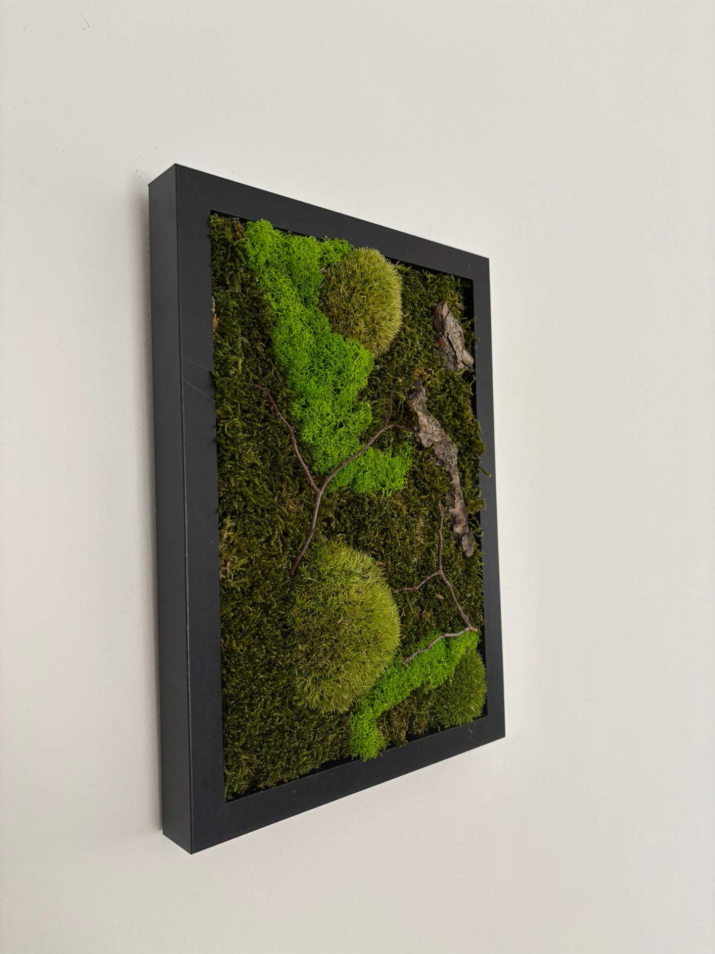 Mechový obraz 24x32cm (černý)