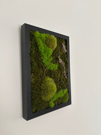 Mechový obraz 24x32cm (černý)