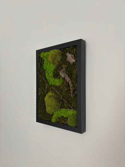 Mechový obraz 24x32cm (černý)