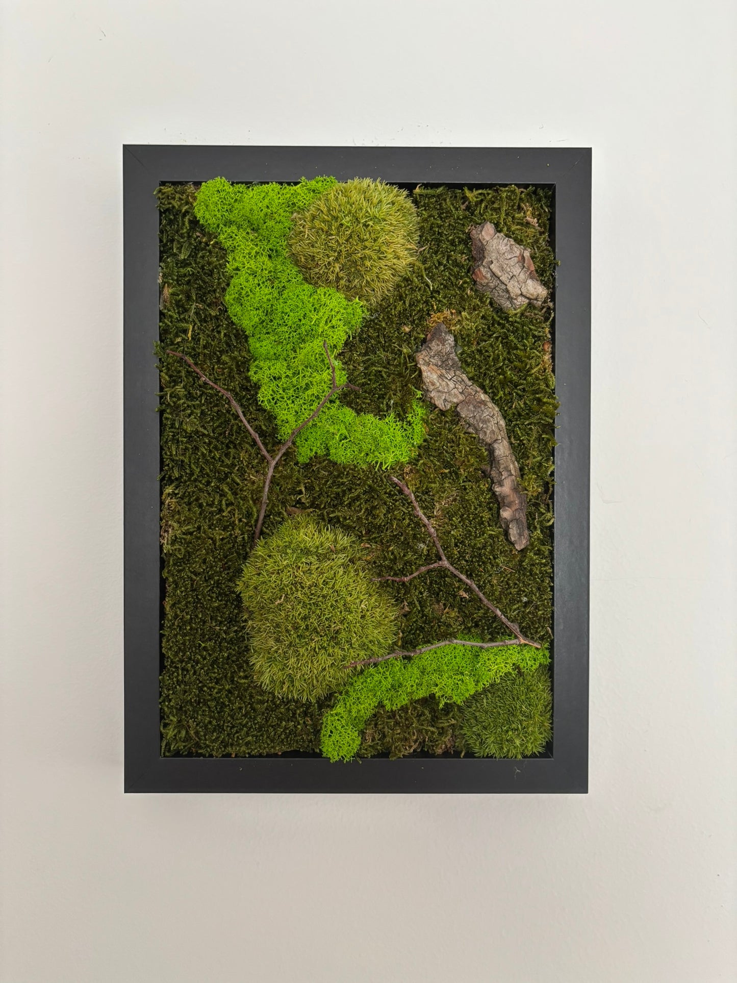 Mechový obraz 24x32cm (černý)