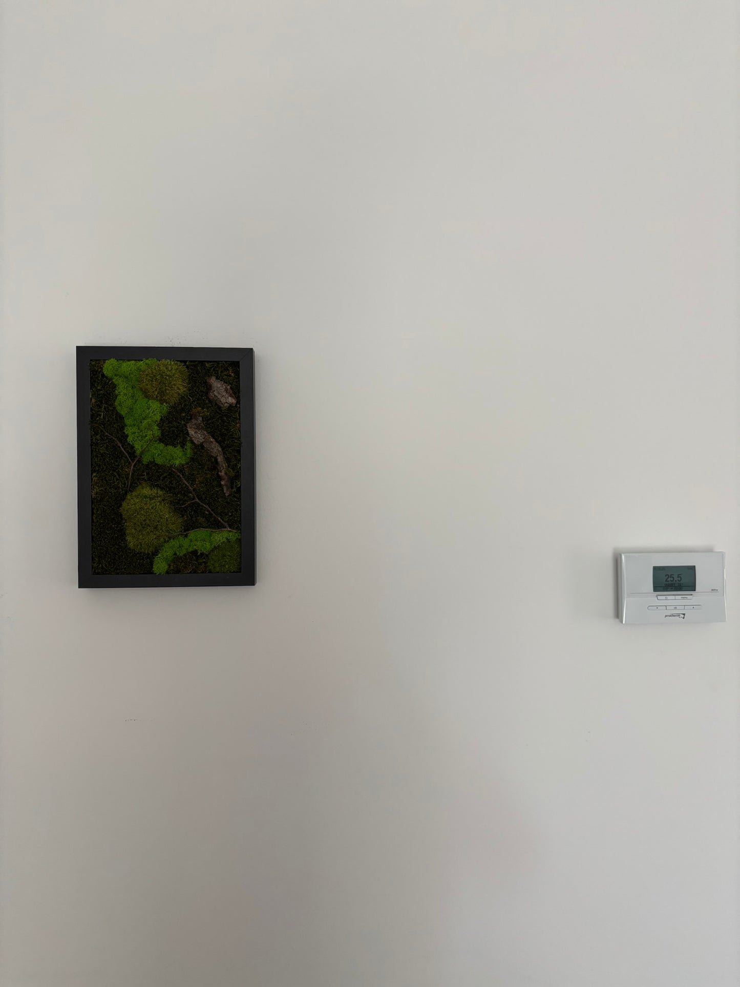 Mechový obraz 24x32cm (černý)