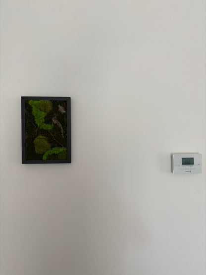 Mechový obraz 24x32cm (černý)