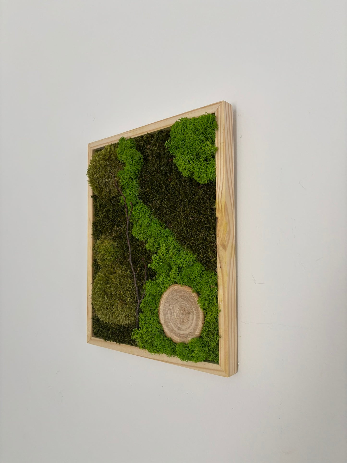 Mechový obraz 24x30cm (dřevo)