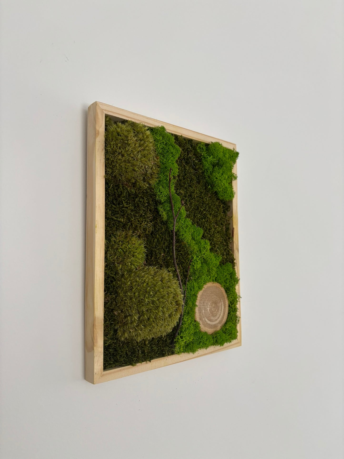 Mechový obraz 24x30cm (dřevo)