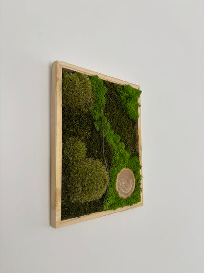 Mechový obraz 24x30cm (dřevo)