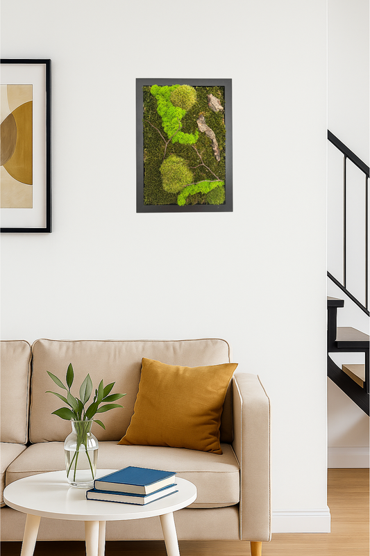 Mechový obraz 24x32cm (černý)