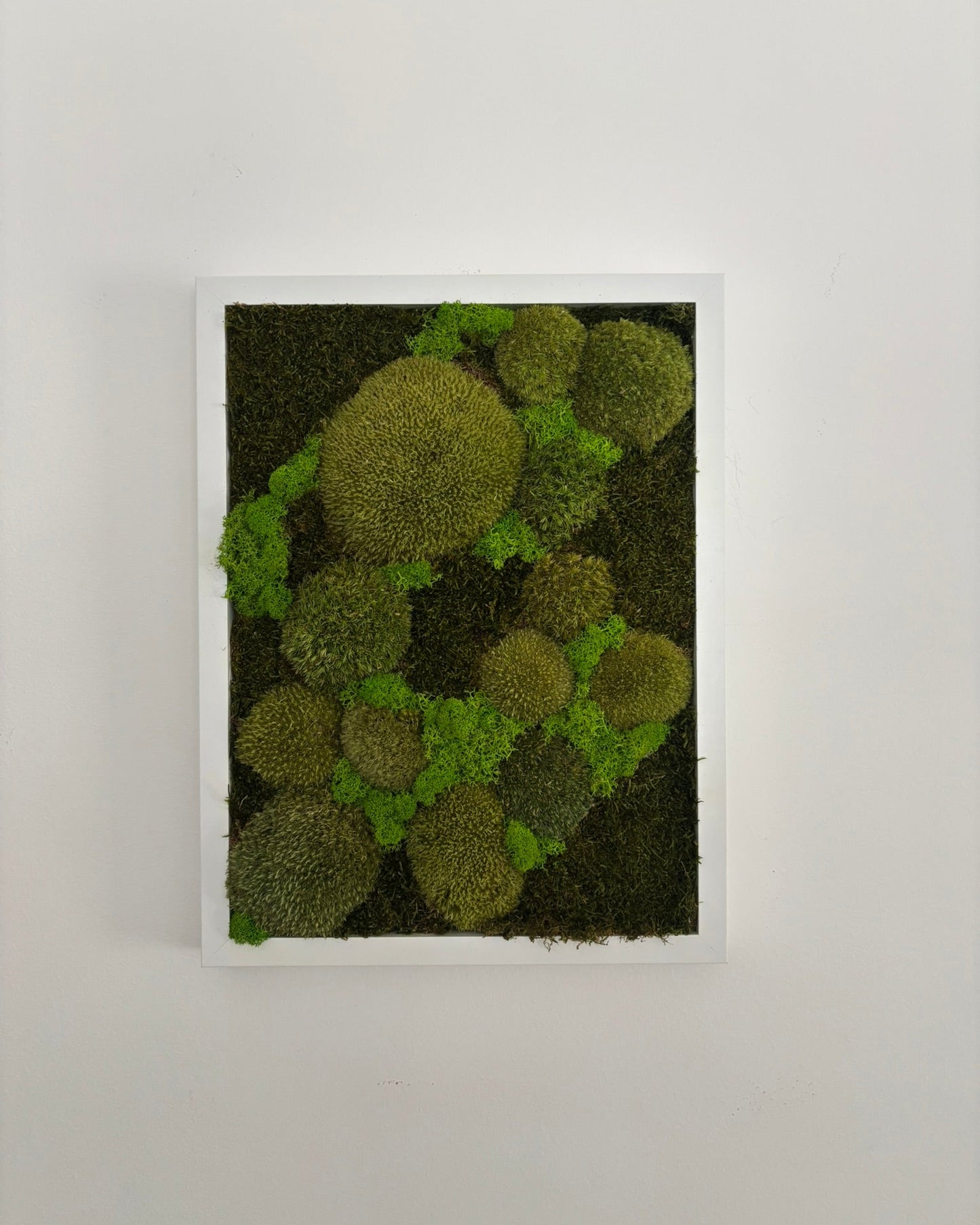 Mechový obraz 32x42cm (bílý)