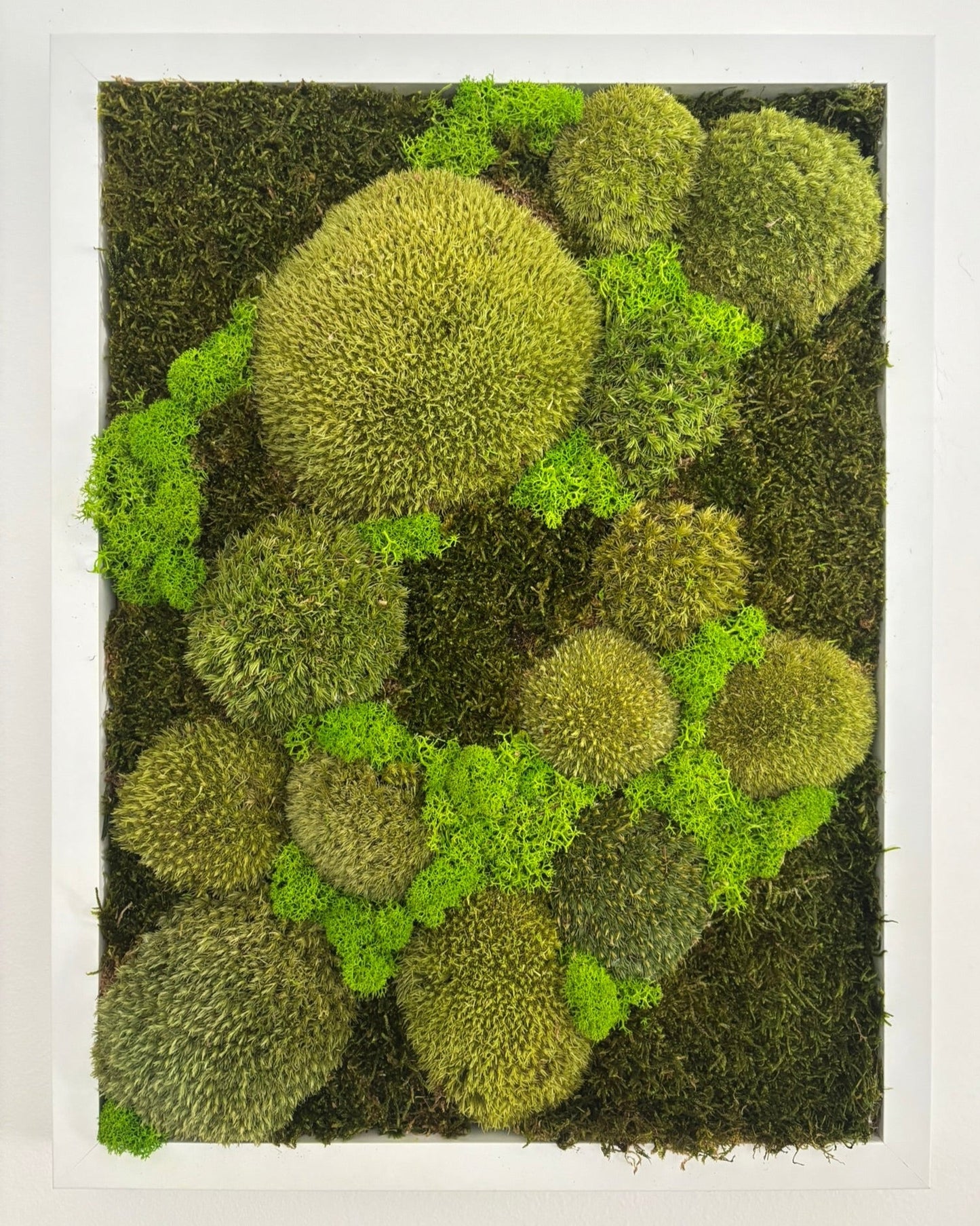 Mechový obraz 32x42cm (bílý)