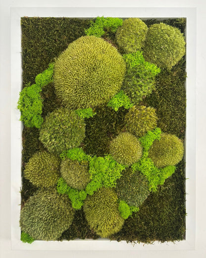 Mechový obraz 32x42cm (bílý)