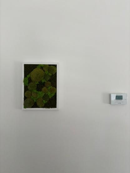 Mechový obraz 32x42cm (bílý)