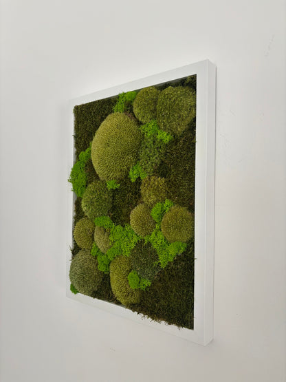 Mechový obraz 32x42cm (bílý)