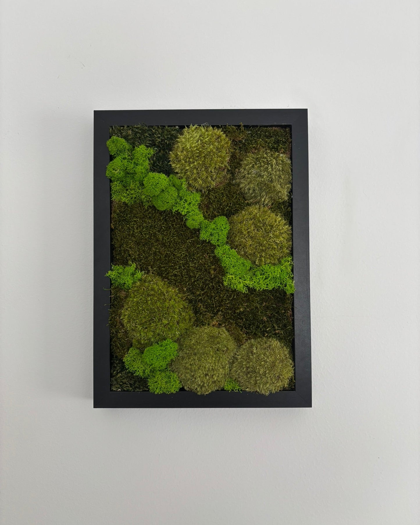 Mechový obraz 24x32cm (černý)