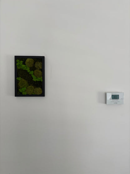 Mechový obraz 24x32cm (černý)