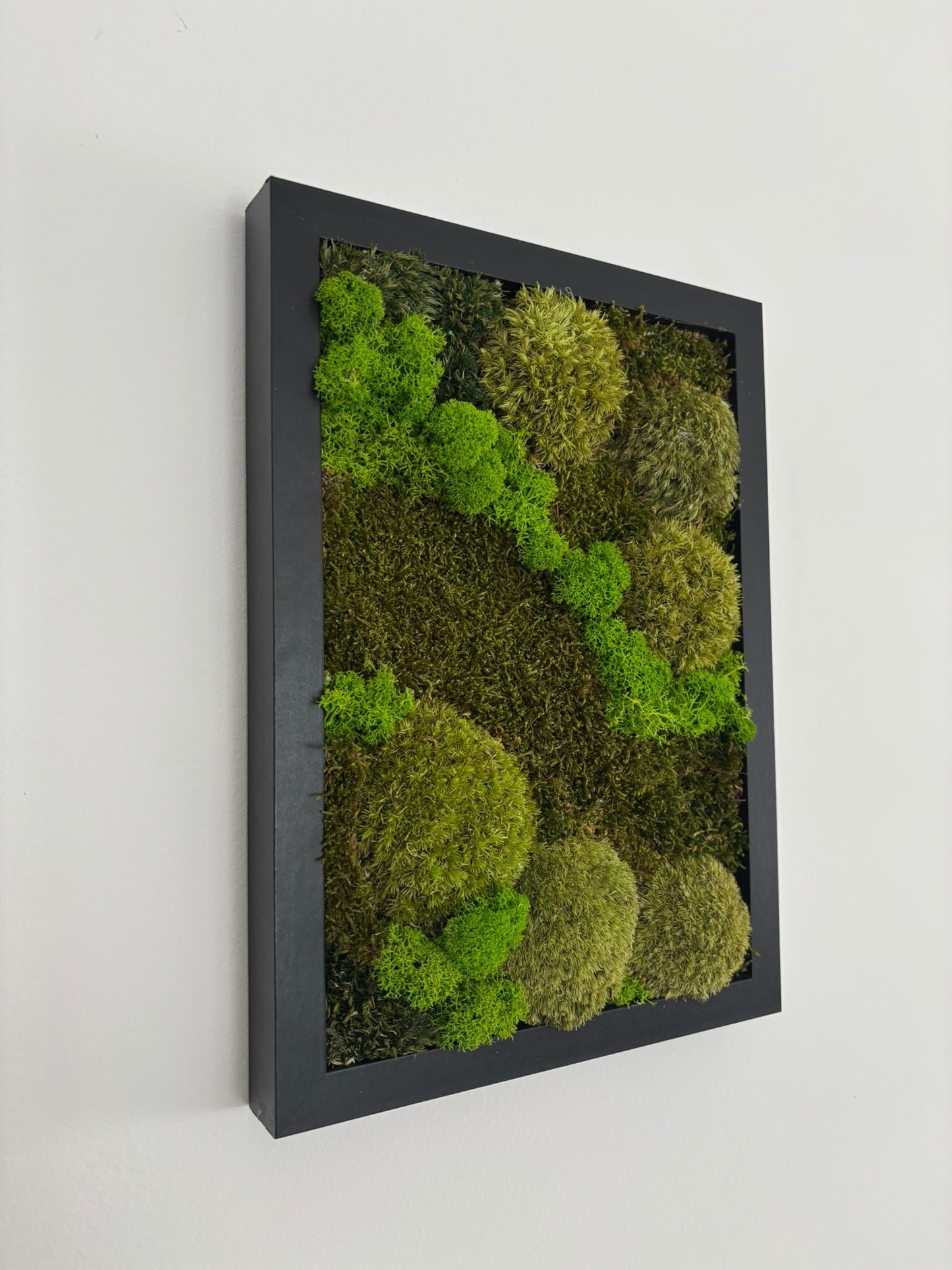 Mechový obraz 24x32cm (černý)