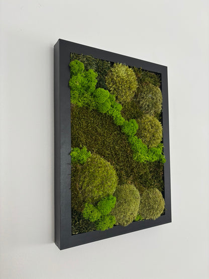 Mechový obraz 24x32cm (černý)