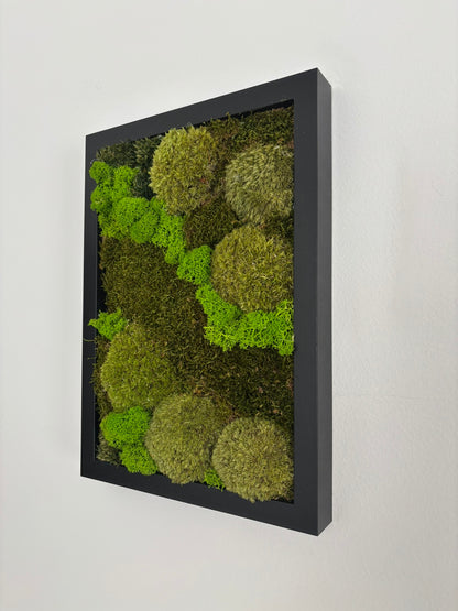 Mechový obraz 24x32cm (černý)