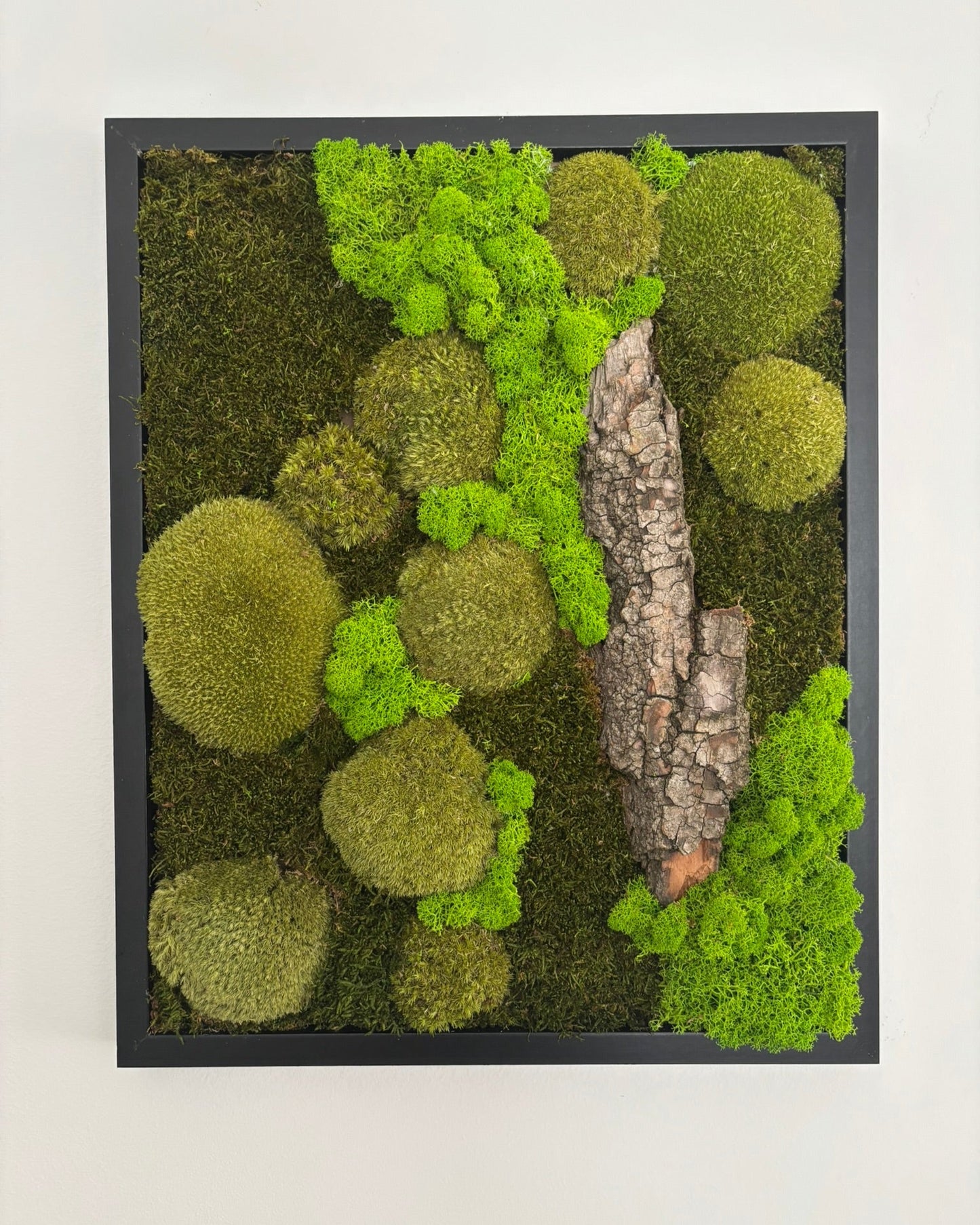 Mechový obraz 42x52cm (černý)