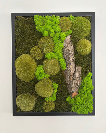 Mechový obraz 42x52cm (černý)