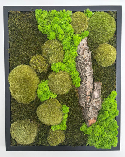 Mechový obraz 42x52cm (černý)