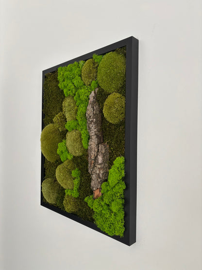 Mechový obraz 42x52cm (černý)