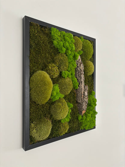 Mechový obraz 42x52cm (černý)